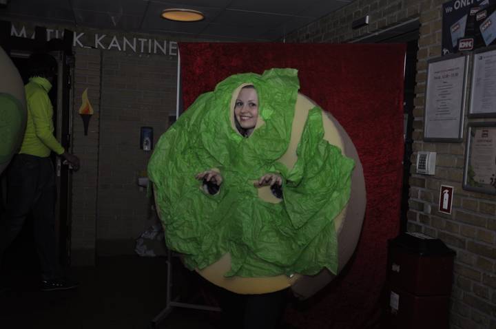 karnevalsfest_-_udklaedninger/20160311230611_00