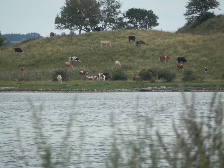 kalo-tur/20240727151343_00