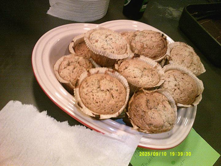 fjerde-foredrag/20250910193930_00