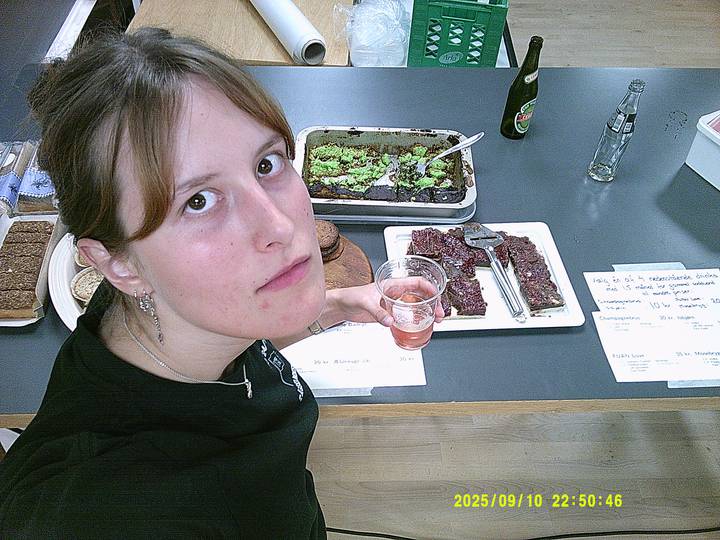 fjerde-foredrag/20250910225046_00