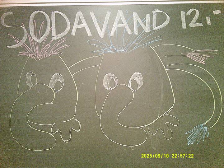 fjerde-foredrag/20250910225722_00