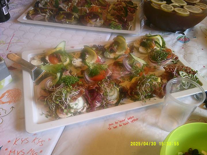 forarsreception/20250430153355_00