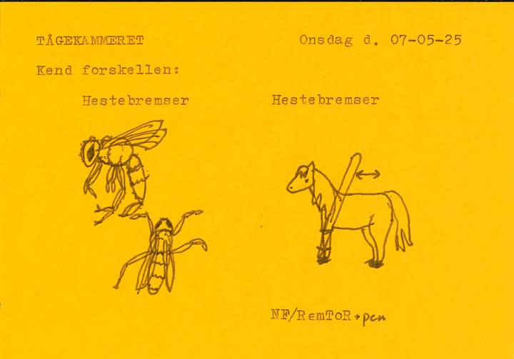 lobesedler/2025-05-07