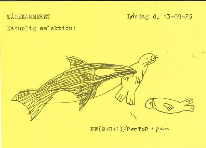 lobesedler/2025-09-13-5