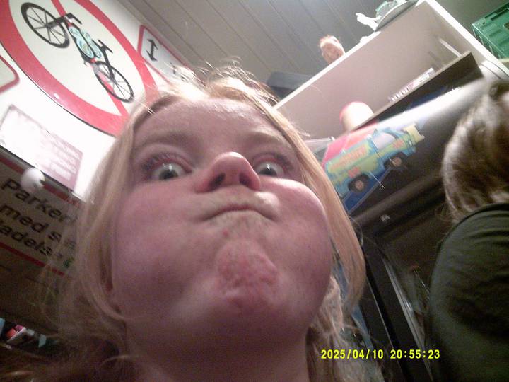 ondt-mode/20250410205523_00