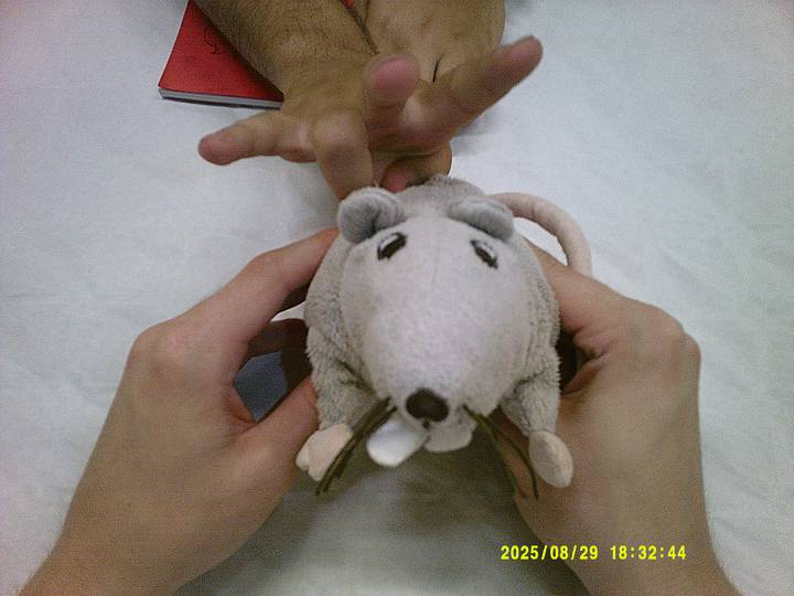 rushyg/20250829183244_00