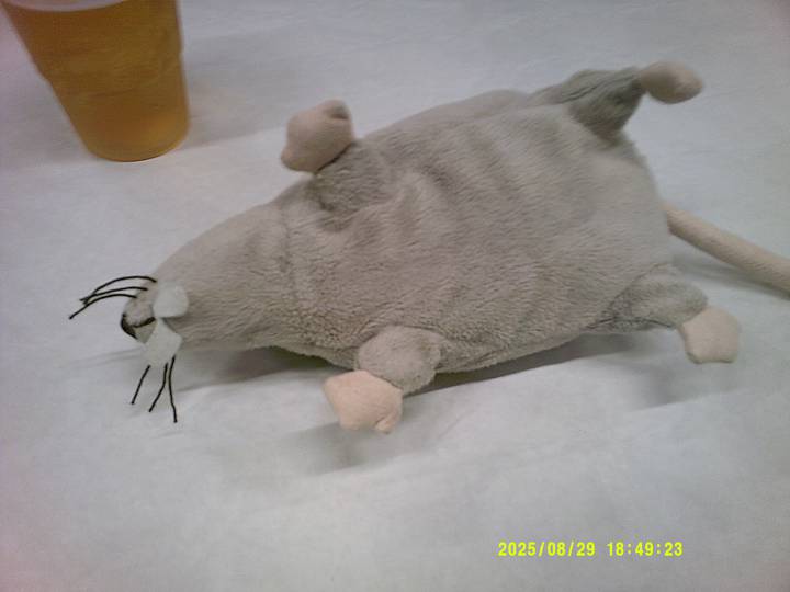 rushyg/20250829184923_00