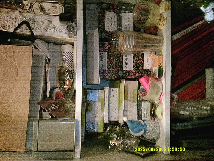 rushyg/20250829215850_00