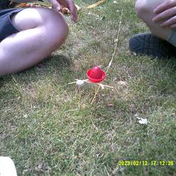 Den Traditionsrige Underforenings 5-Kamp