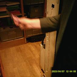 Fernisering af Kvitten