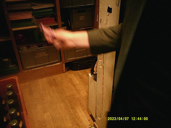 fernisering-af-kvitten/20230407124400_00