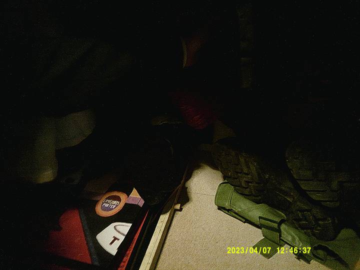 fernisering-af-kvitten/20230407124637_00