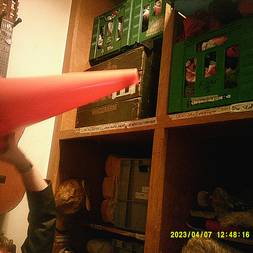 Fernisering af Kvitten