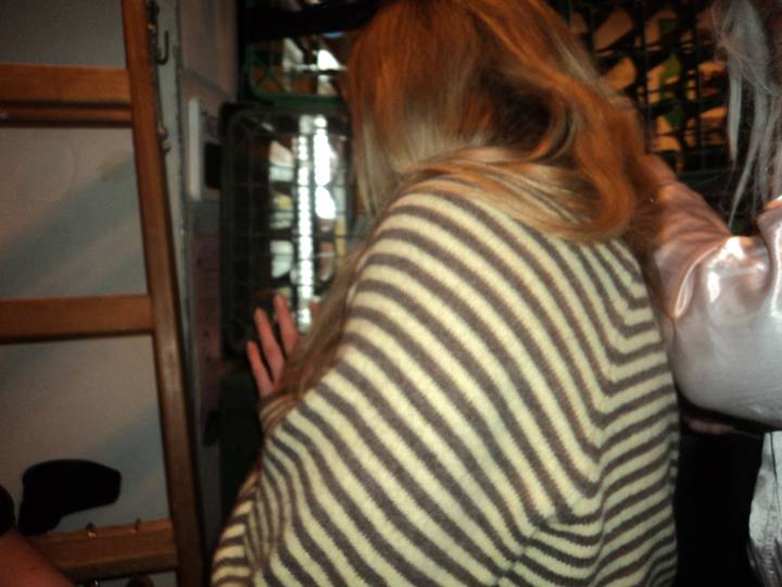 forarsreception/20100101023707_00