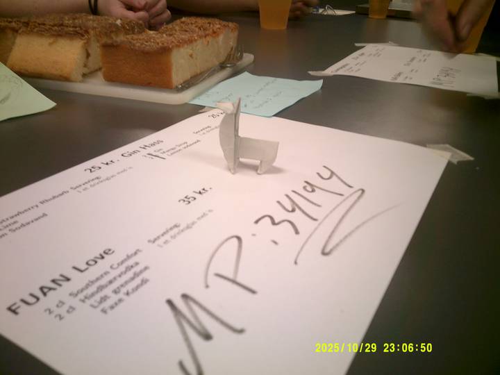 forste-foredrag-soren-ryge/20251029230650_00