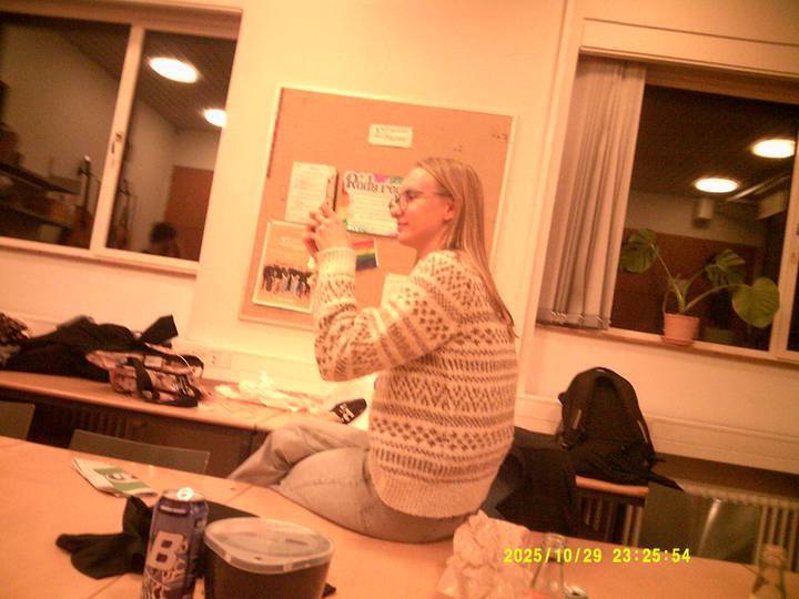 forste-foredrag-soren-ryge/20251029232554_00