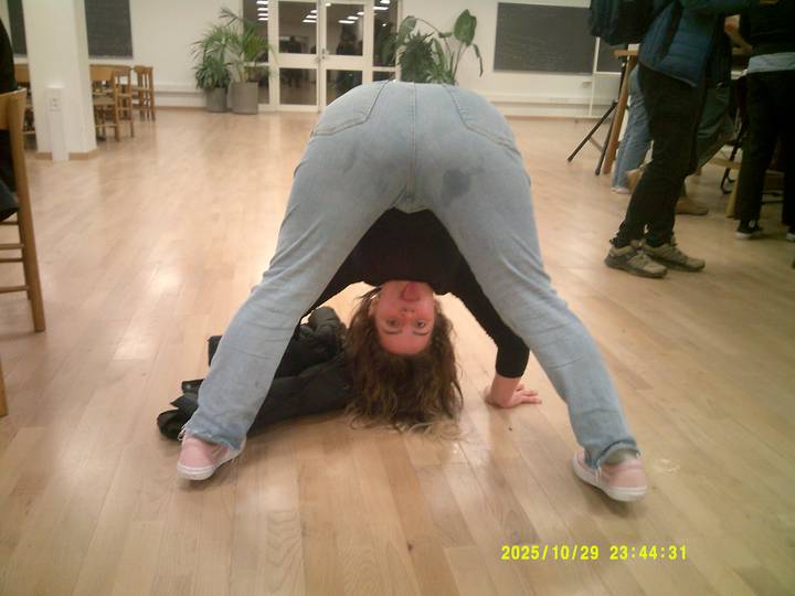 forste-foredrag-soren-ryge/20251029234431_00