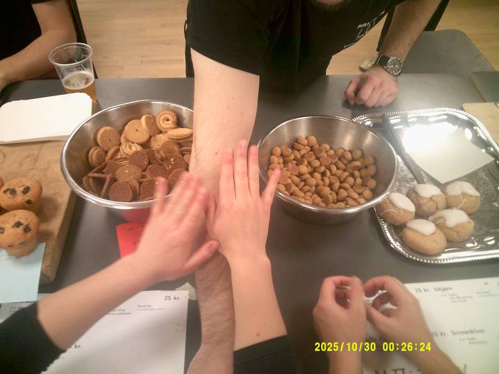 forste-foredrag-soren-ryge/20251030002624_00