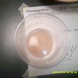 Første Foredrag - Søren Ryge