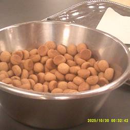 Første Foredrag - Søren Ryge