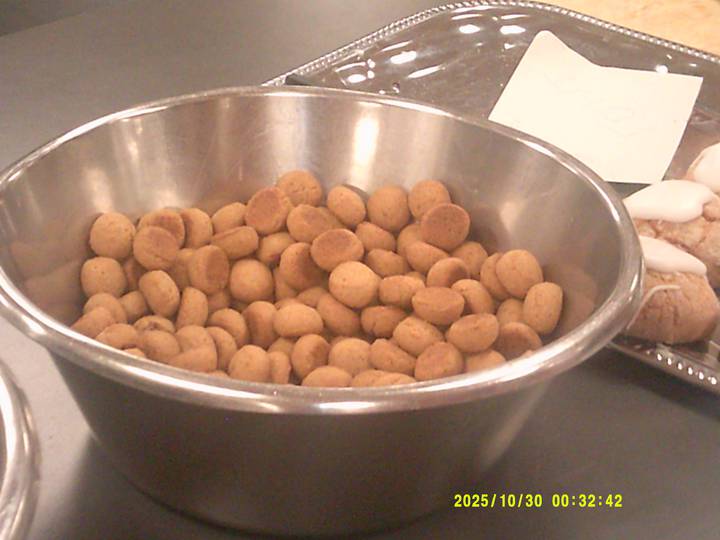 forste-foredrag-soren-ryge/20251030003242_00