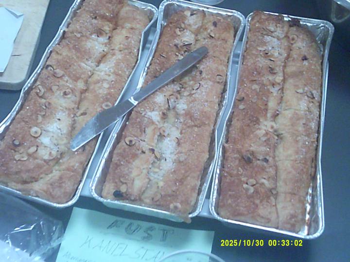 forste-foredrag-soren-ryge/20251030003302_00