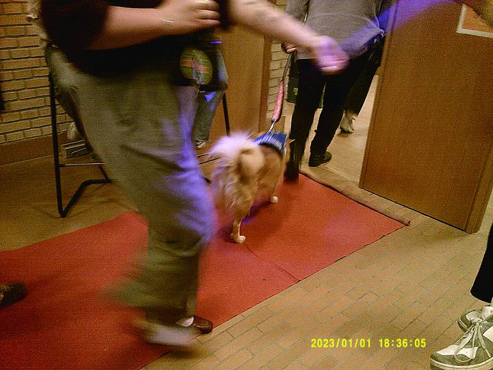 forste-foredrag-soren-ryge/20230101183605_00