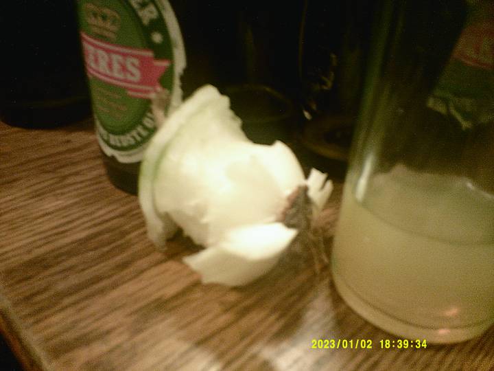 fu-m/20230102183934_00