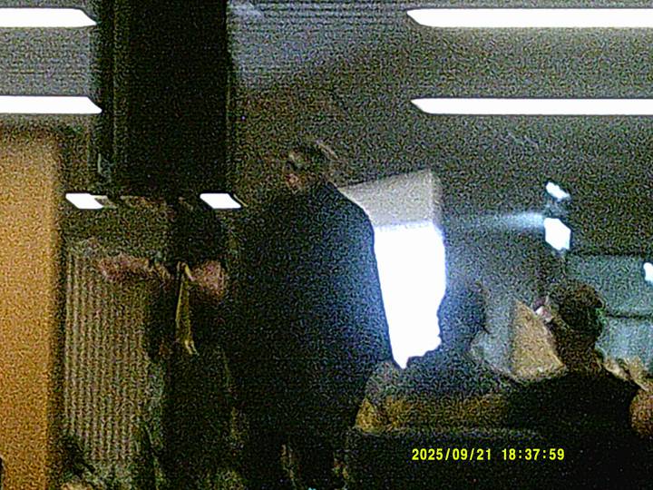 gf/20250921183759_00