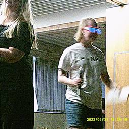 Hængerrevy