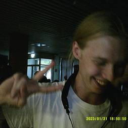 Hængerrevy