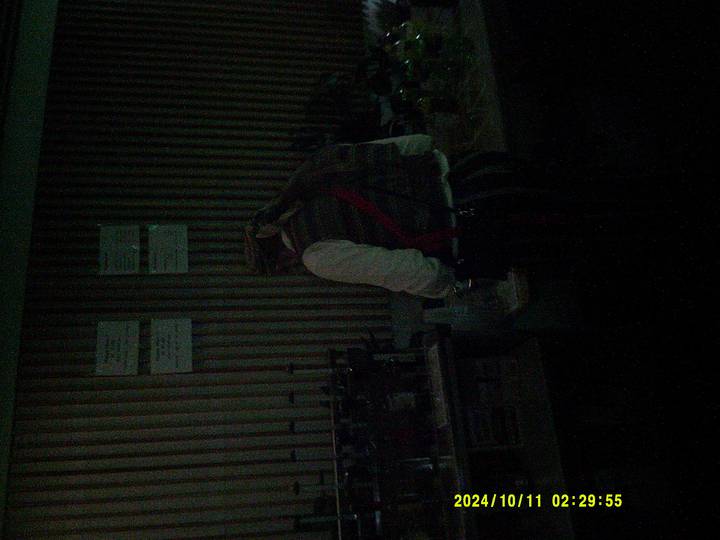 halloweenfest/20241011022955_00