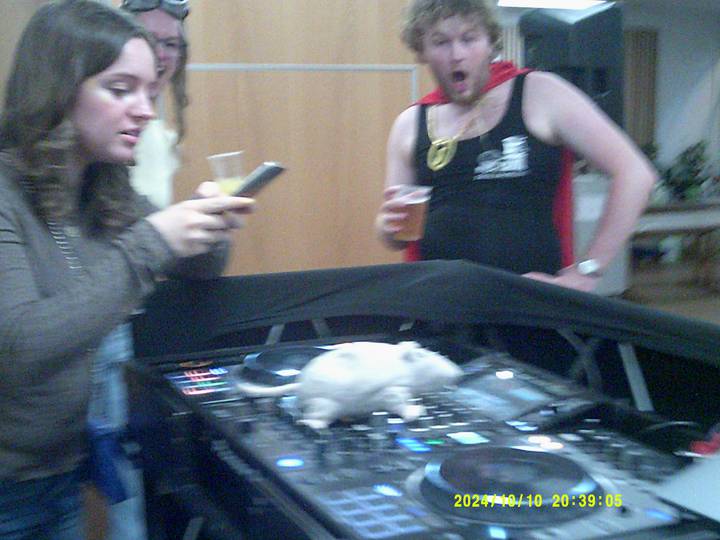 halloweenfest/20241010203905_00