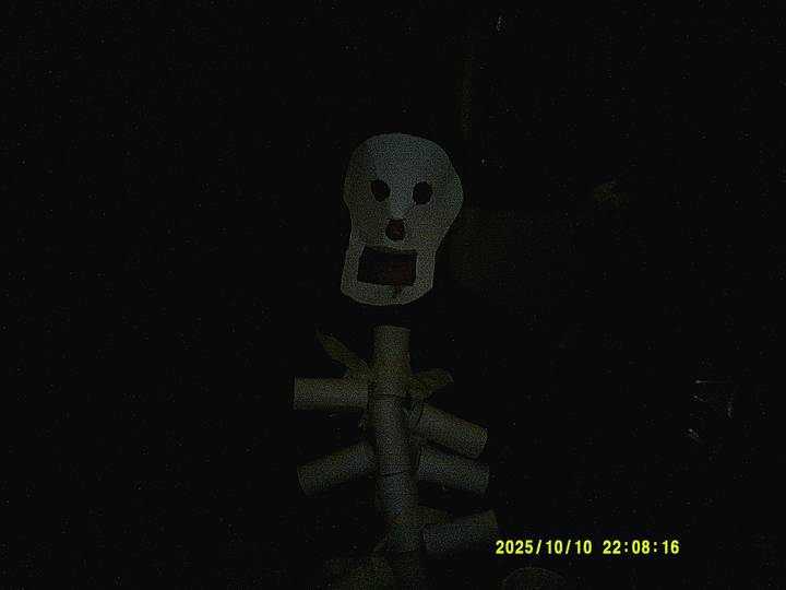 halloweenfest/20251010220816_00