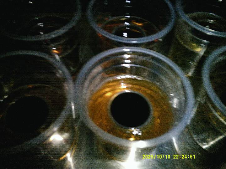 halloweenfest/20251010222451_00