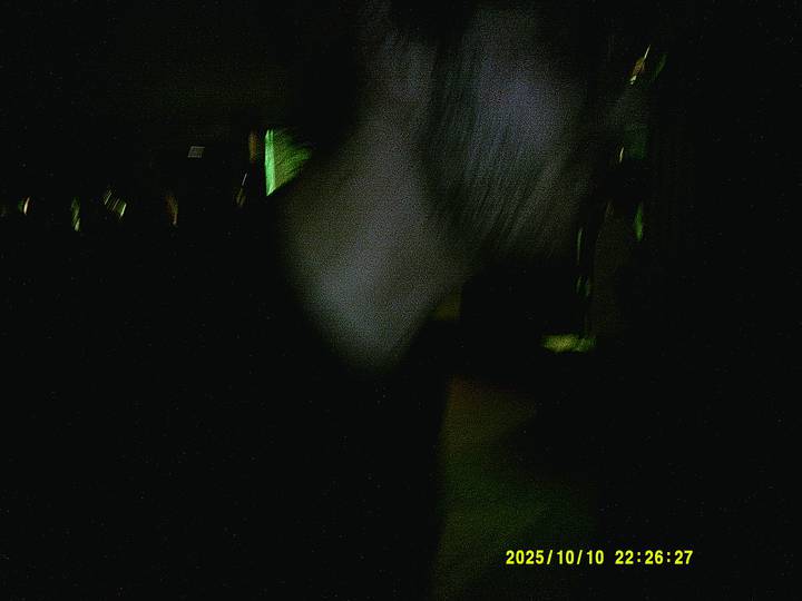 halloweenfest/20251010222627_00