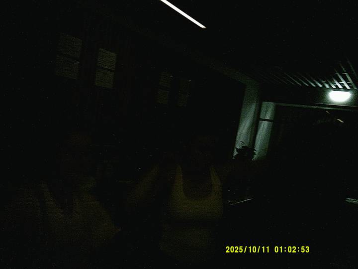 halloweenfest/20251011010253_00