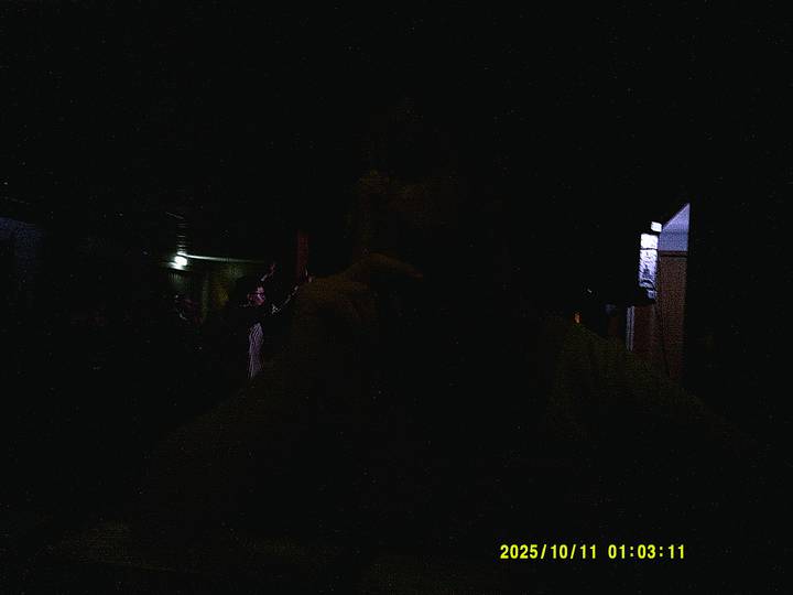 halloweenfest/20251011010311_00