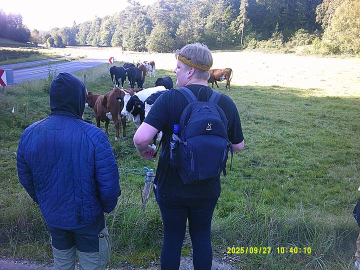 hstr/20250927104009_00