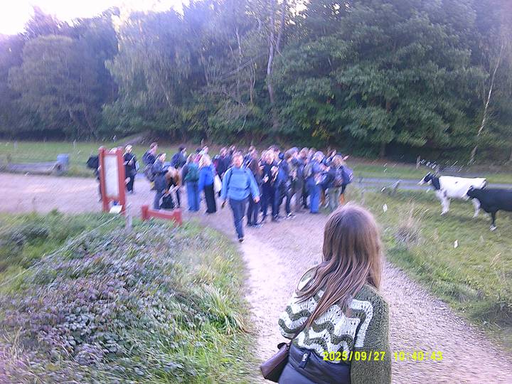 hstr/20250927104043_00