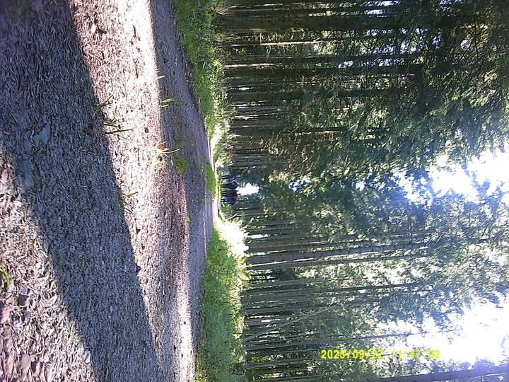 hstr/20250927114702_00