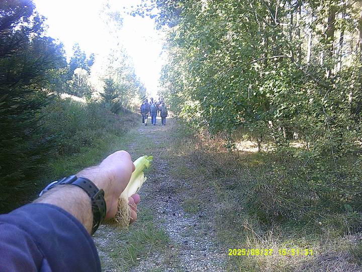 hstr/20250927155131_00