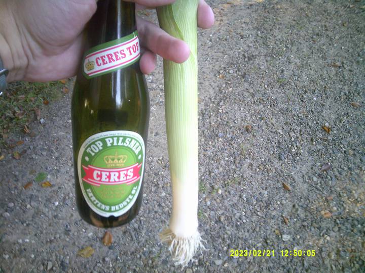 hstr/20230221125005_00