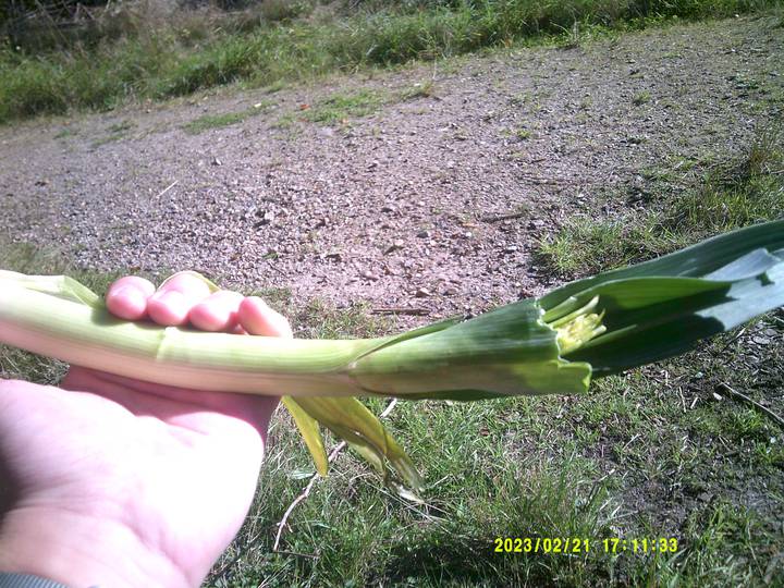 hstr/20230221171133_00