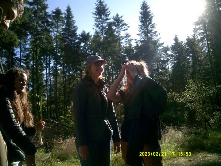 hstr/20230221171553_00