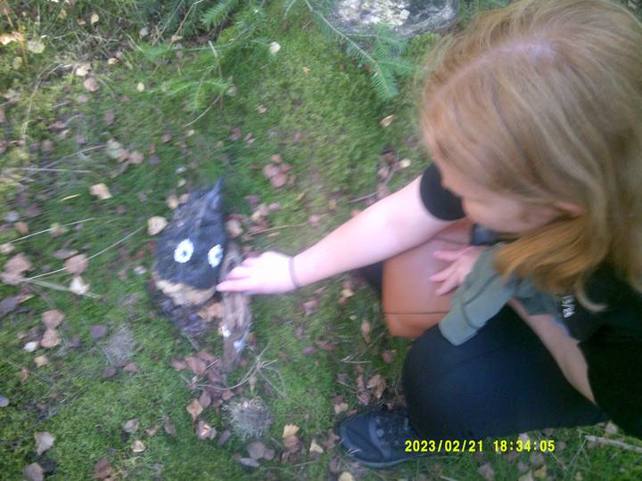 hstr/20230221183405_00