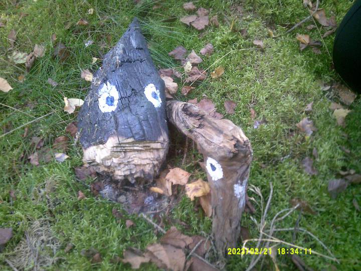 hstr/20230221183411_00