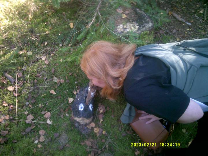 hstr/20230221183419_00