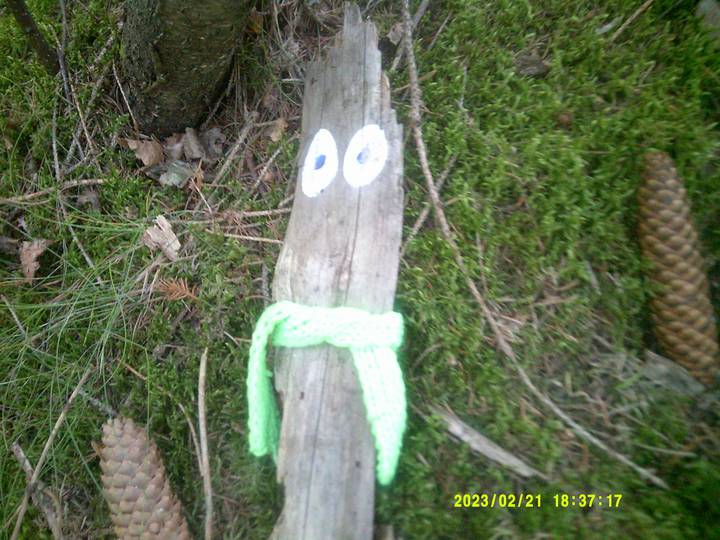 hstr/20230221183717_00