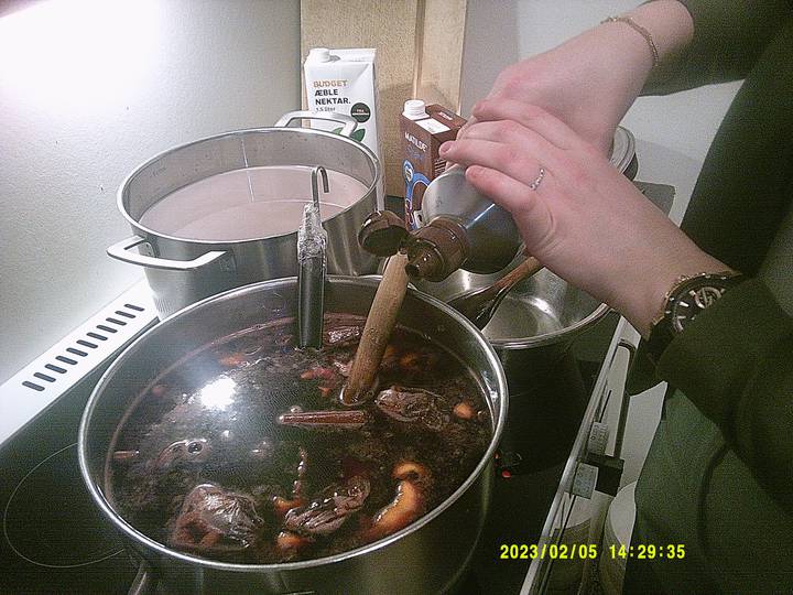 juleklip/20230205142935_00